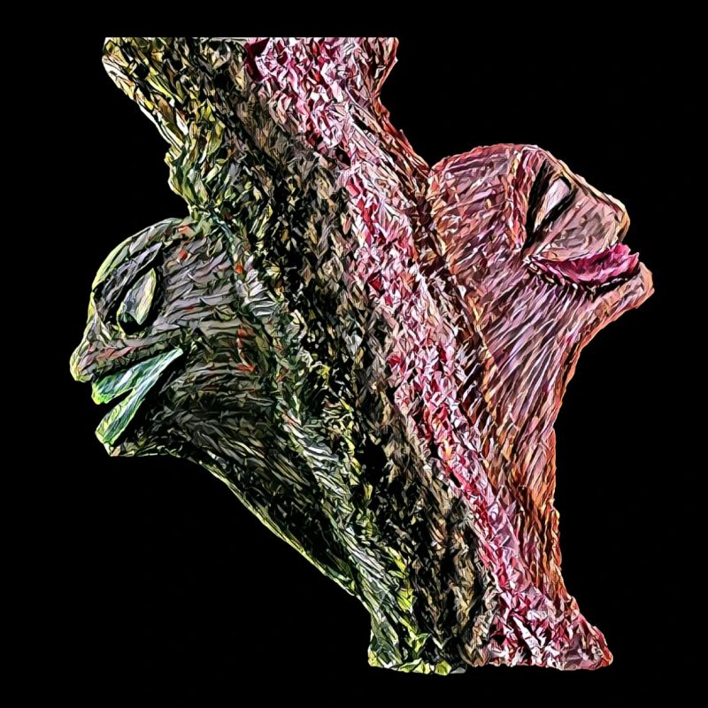 Duality