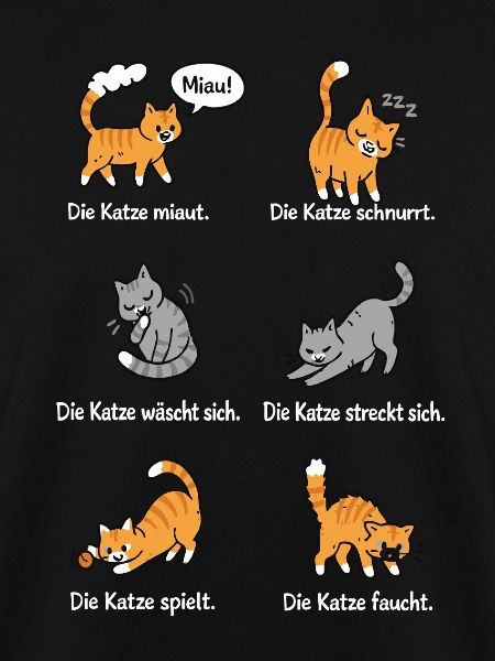 Katzenleben – Schnurrhaare & Katzenliebe