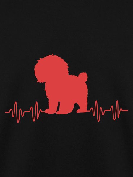 Goldendoodle