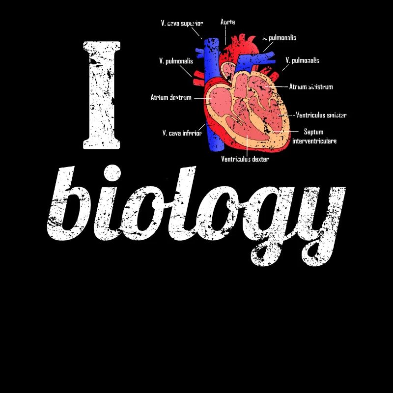 Ich liebe Biologie mit anatomischen Herz Bio Aorta