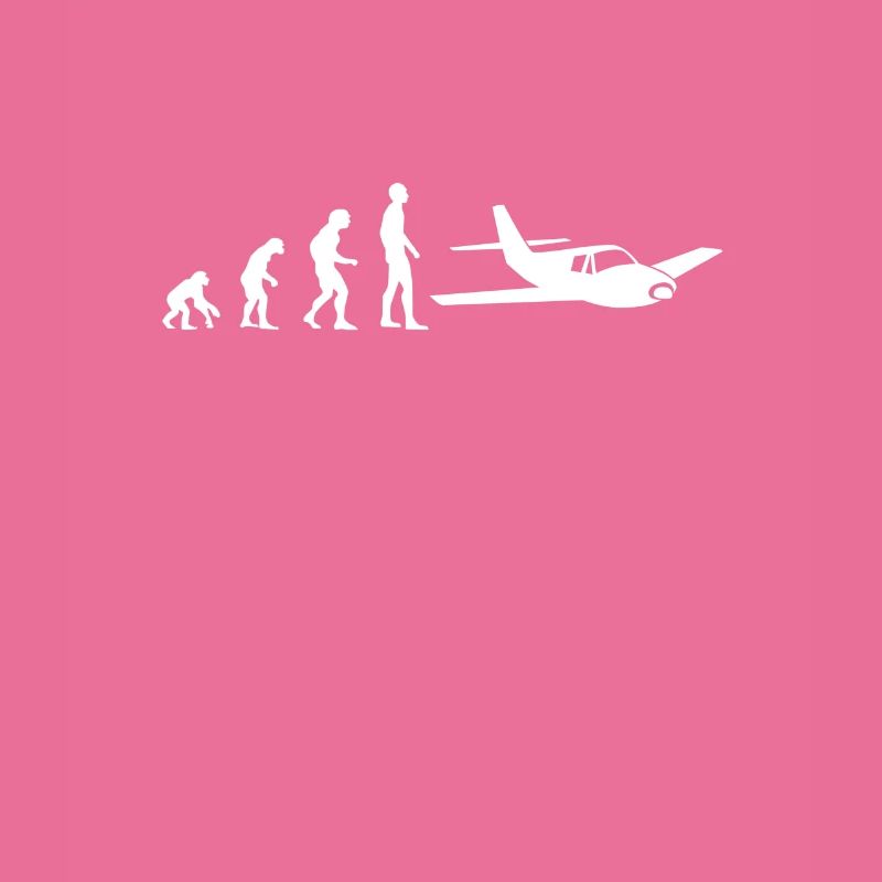 avion pilote evolution