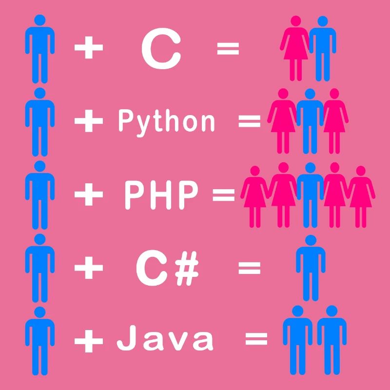 Programmeur