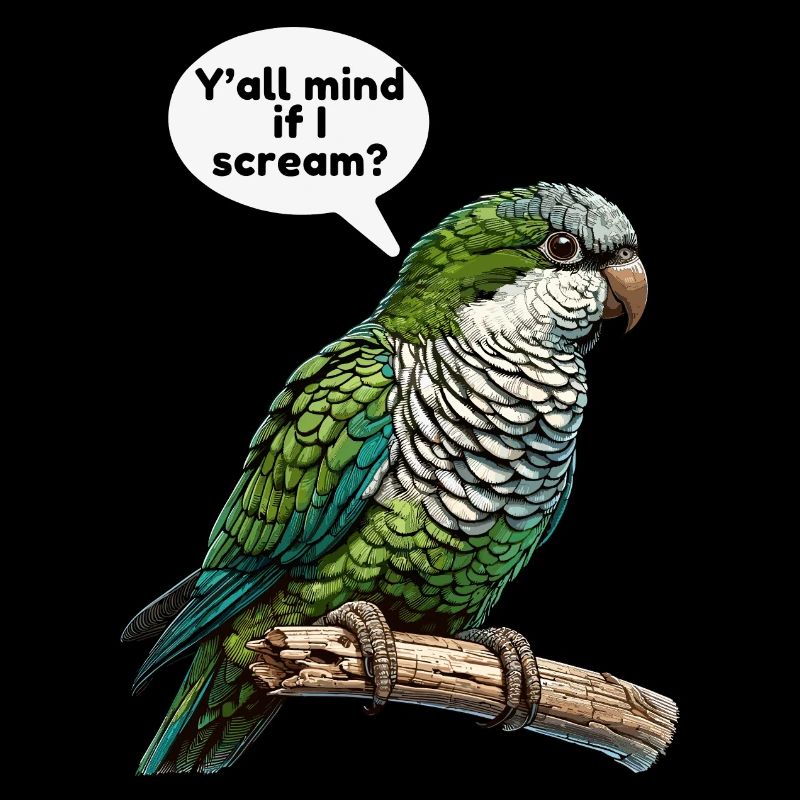 Quäker Papagei Mönch Sittich