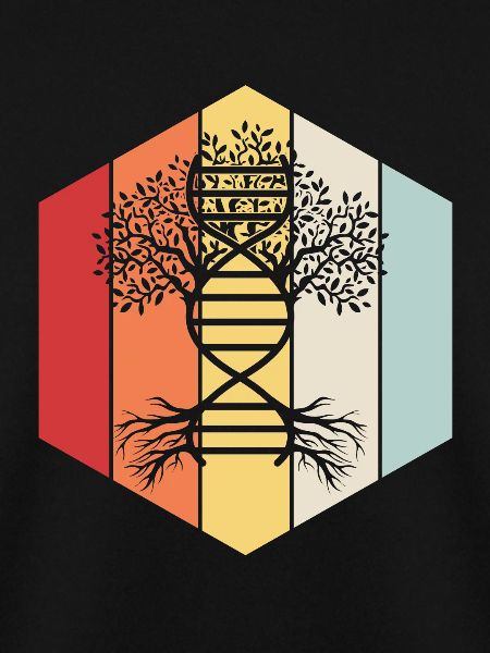 Stammbaum Genealogie