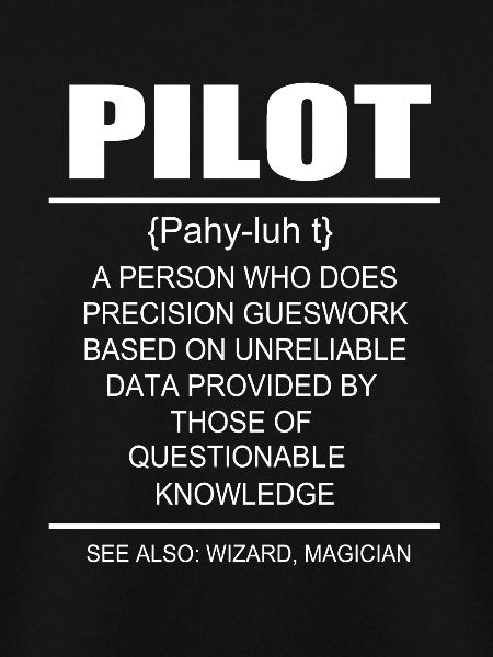 Pilot Flugzeug