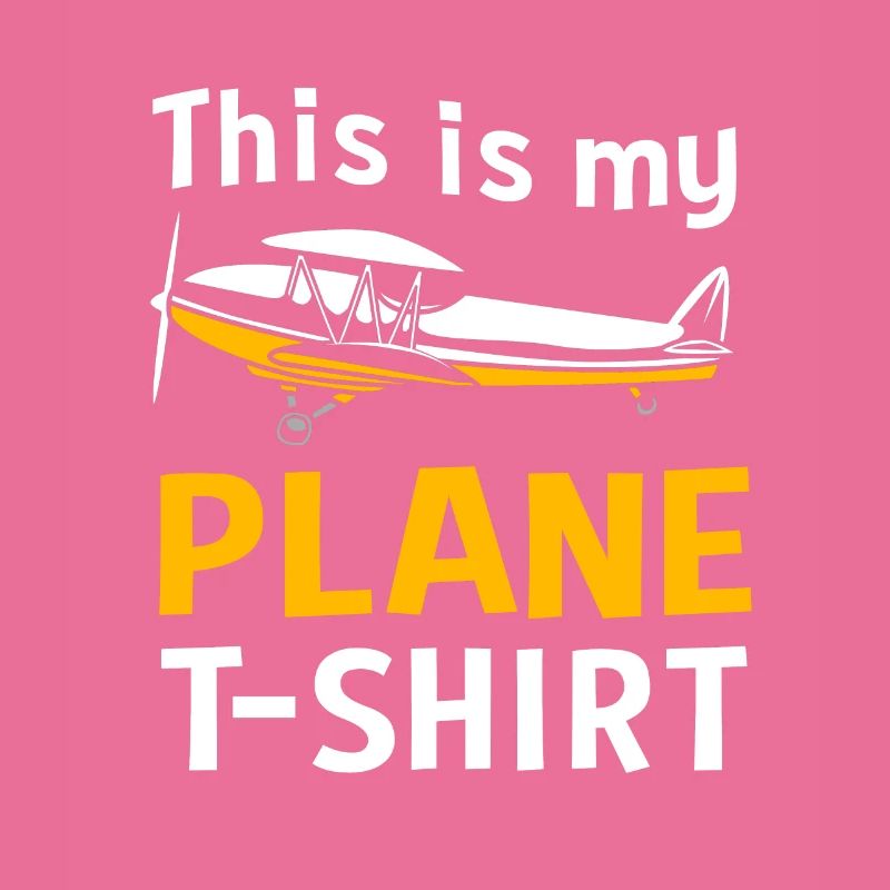 Pilot Flugzeug