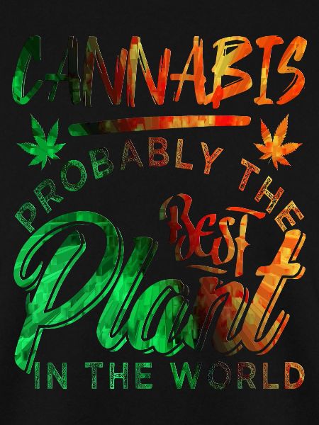 Cannabis Hanf Haschisch Kiffer