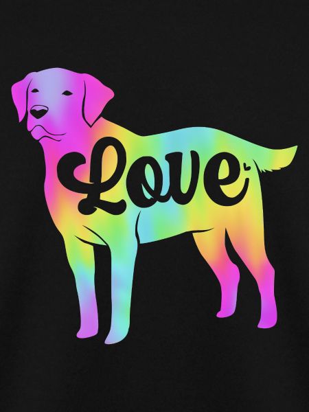 Chesapeake Bay Retriever