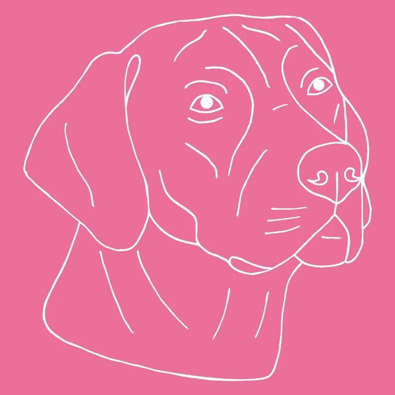 Rhodesian Ridgeback