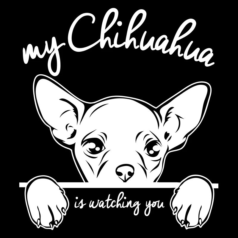 CHIHUAHUA vous regarde
