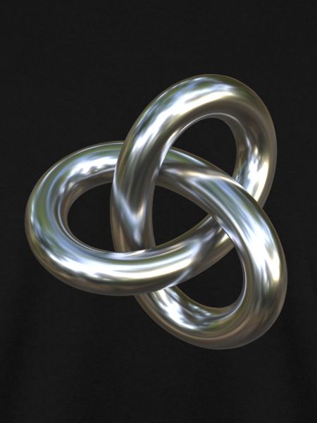 Torusknoten Silber 3D