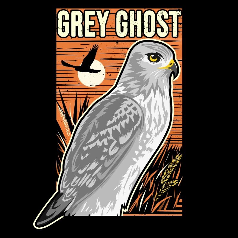 Kornweihe Greifvogel Grey Ghost