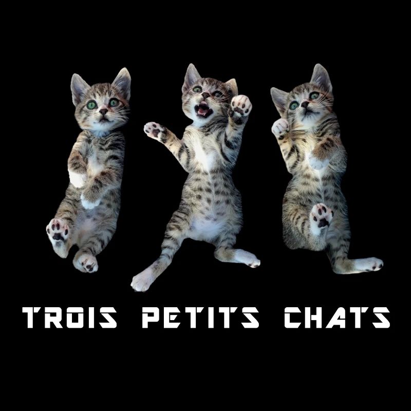 3 little cats