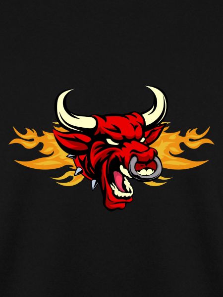 Stier