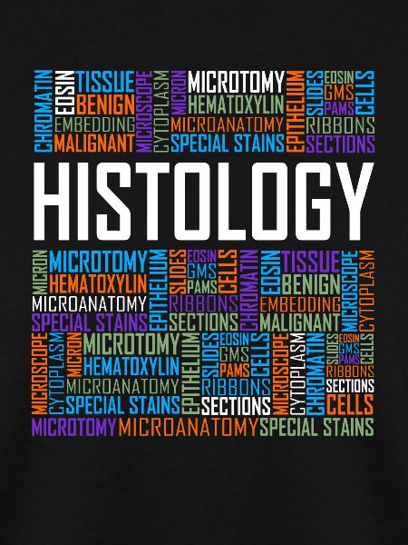Histologische Wörter