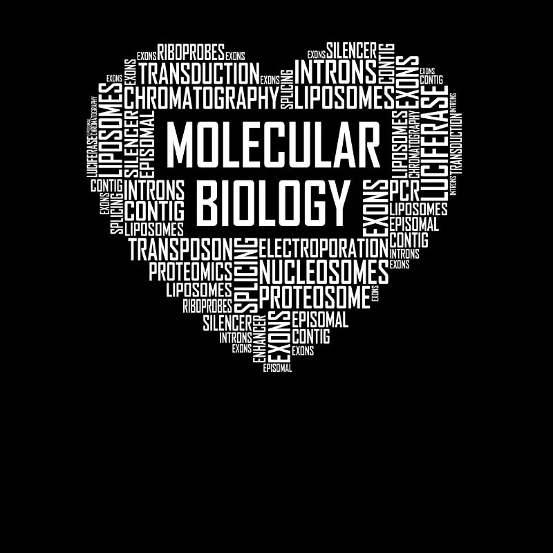 Molekularbiologie Herz