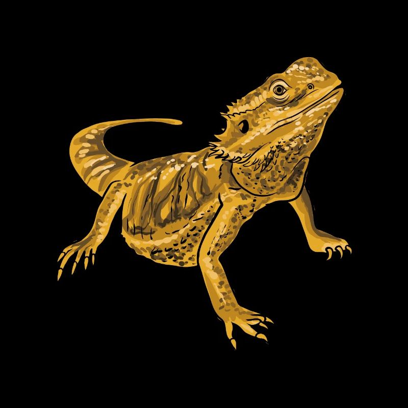 Dragon barbu