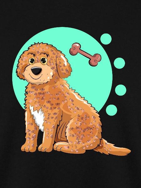 Cockapoo Dog