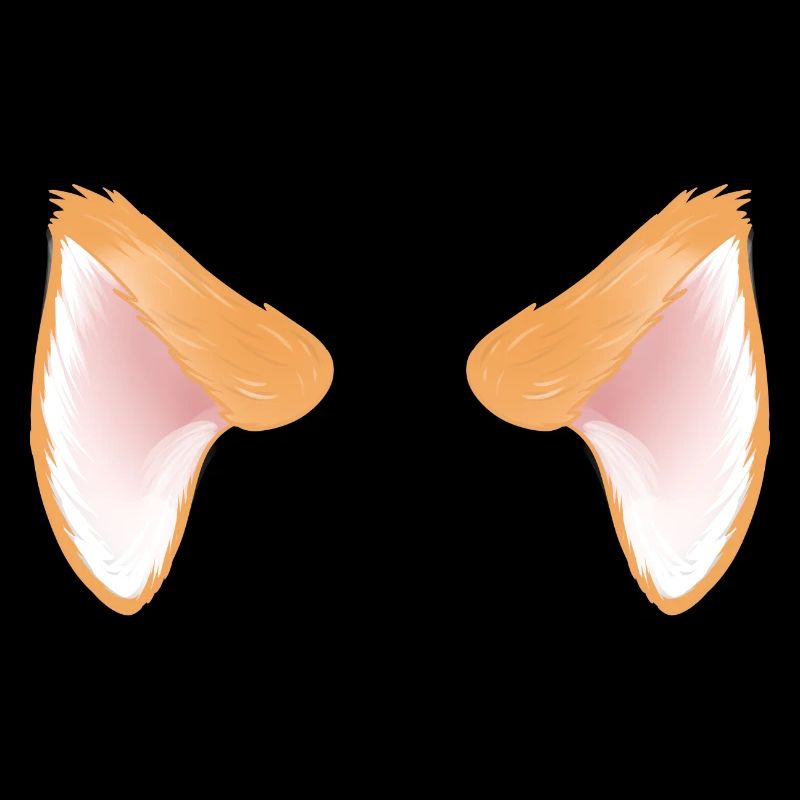 Oreilles de chat d'un chat orange