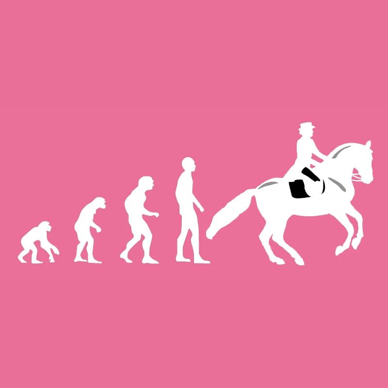 Evolution équitation - cheval - cavalier - cavalier