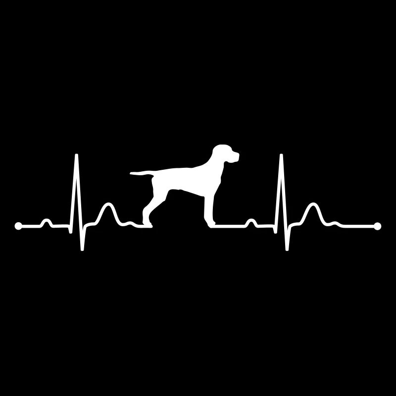 DEUTSCH KURZHAAR - GERMAN SHORTHAIRED POINTER