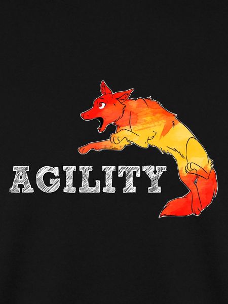 Agility Border Spain