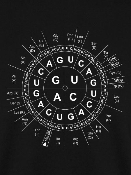 Code-Sonne/Genetik/DNA/DNS/Biologie/Wissenschaft