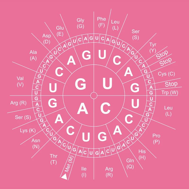 Code-Sonne/Genetik/DNA/DNS/Biologie/Wissenschaft