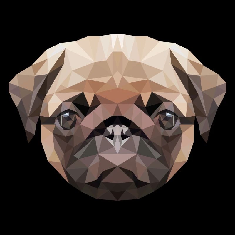 joli carlin pug