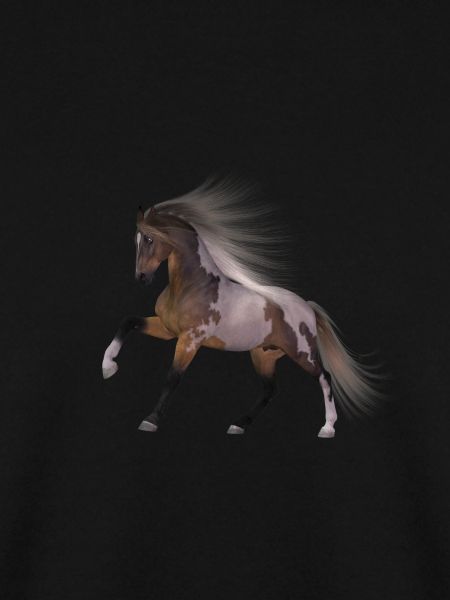 Pferd Geschenk Geschenkidee