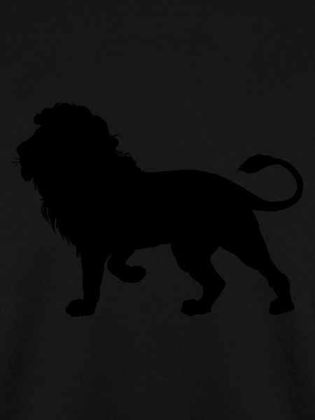 Lion Silhouette
