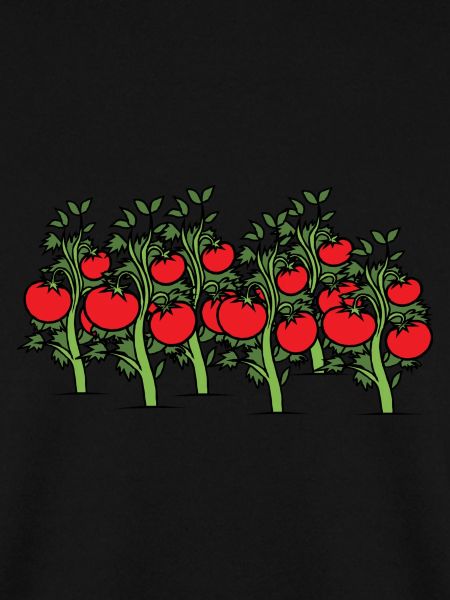 Tomaten am Strauch. Geschenkidee