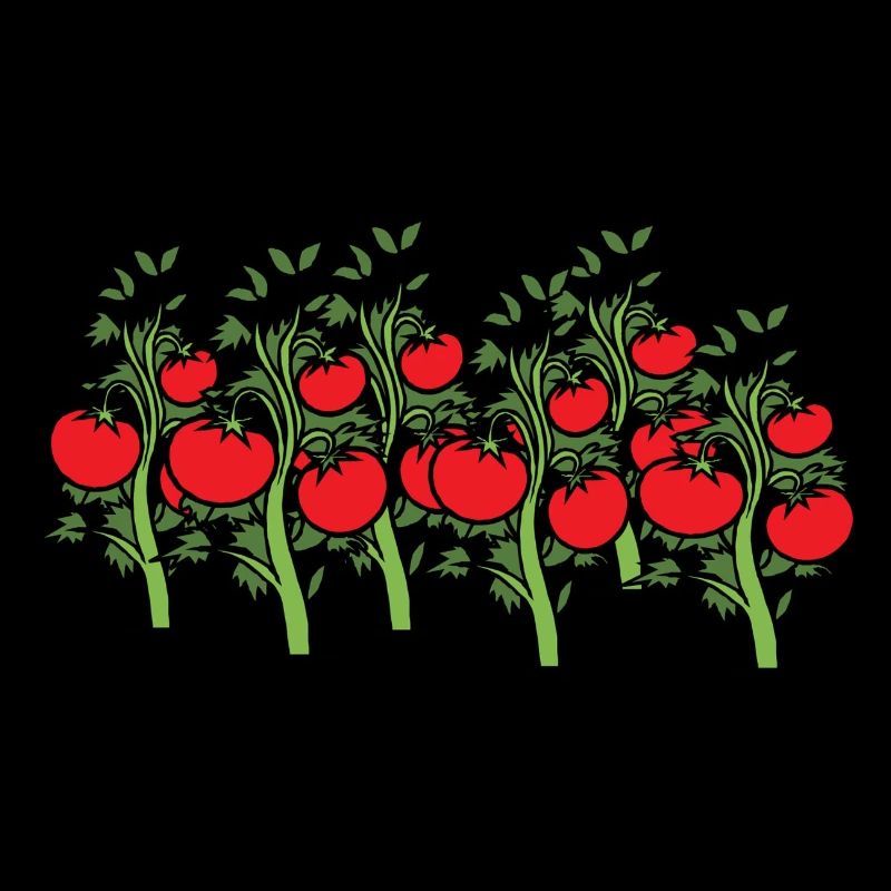 Tomatoes on the bush. Gift