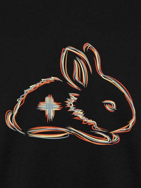 Veterinary Bunny