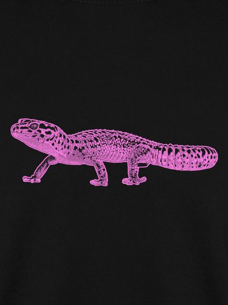 Leopardengecko