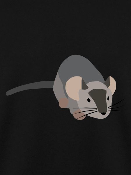 Gray mouse