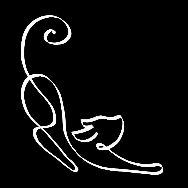 Le chat connaît une ligne