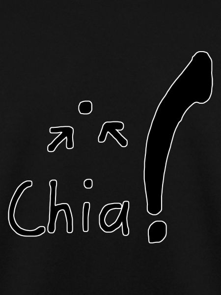Chia Samen