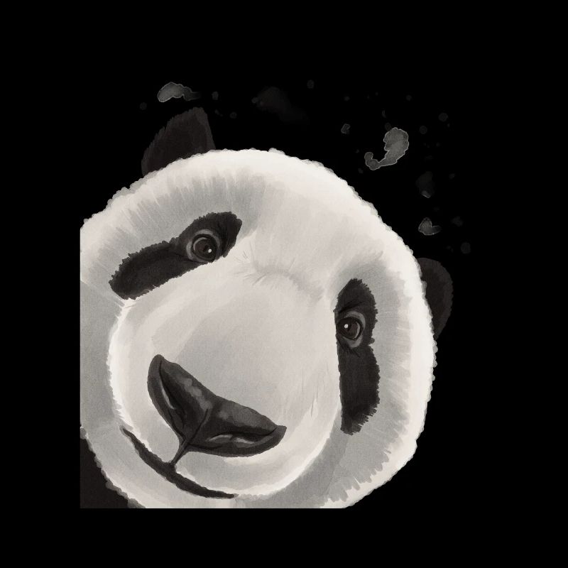 Neugieriger Panda Bär
