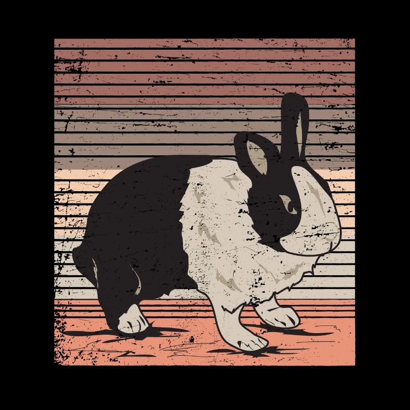 lapin néerlandais