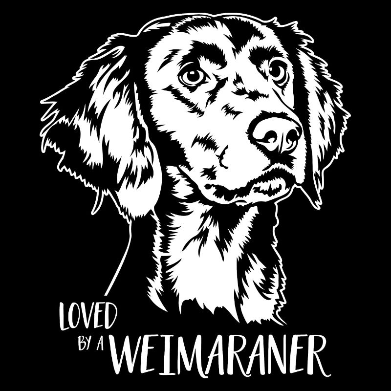 Aimé par un chien de braque de Weimar disant chien Wilsigns