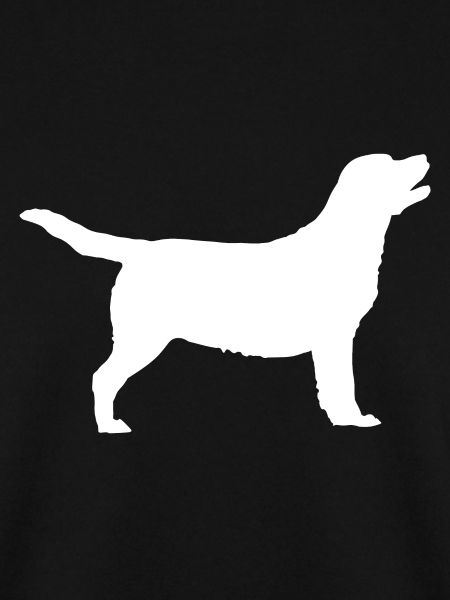 Labrador