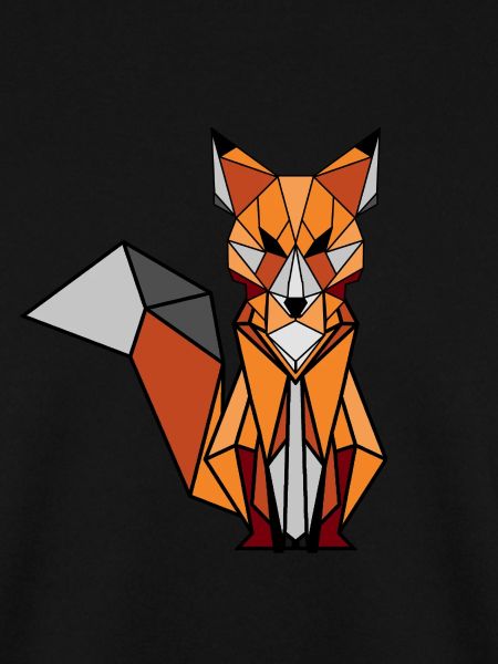 Geometrischer Fuchs