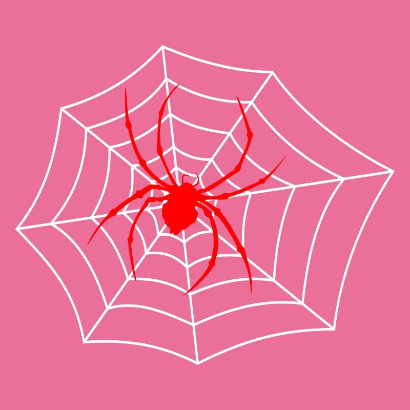 Araignée sur le web