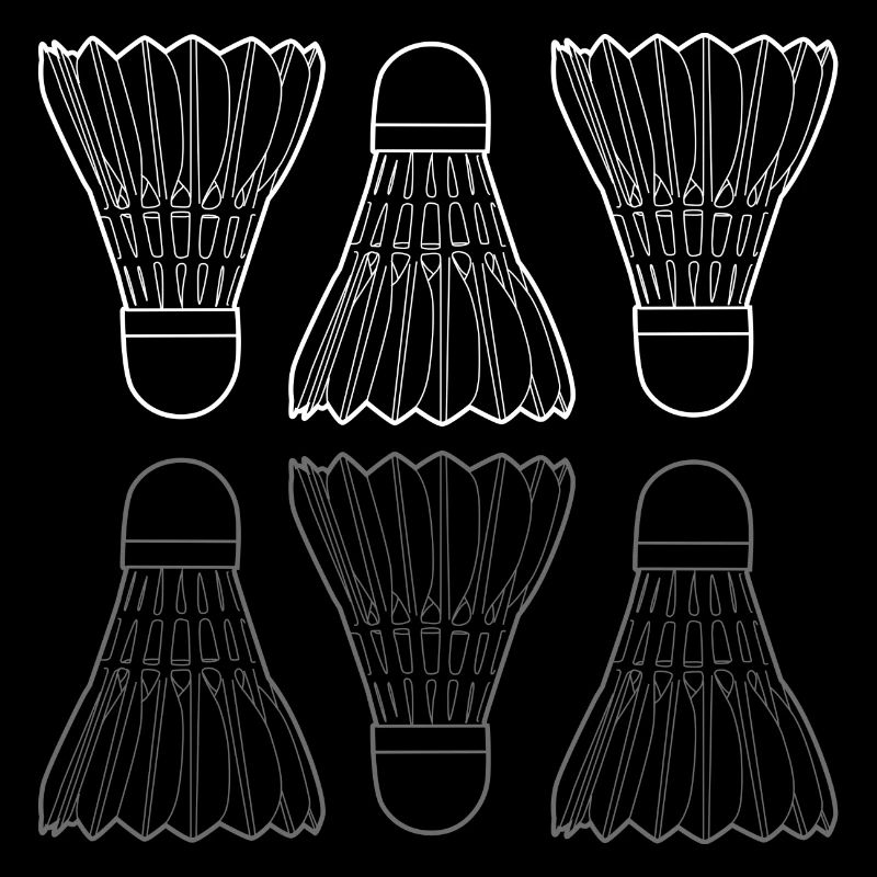 Federball / Badminton