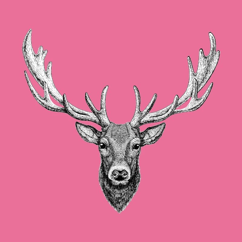 Hirsch