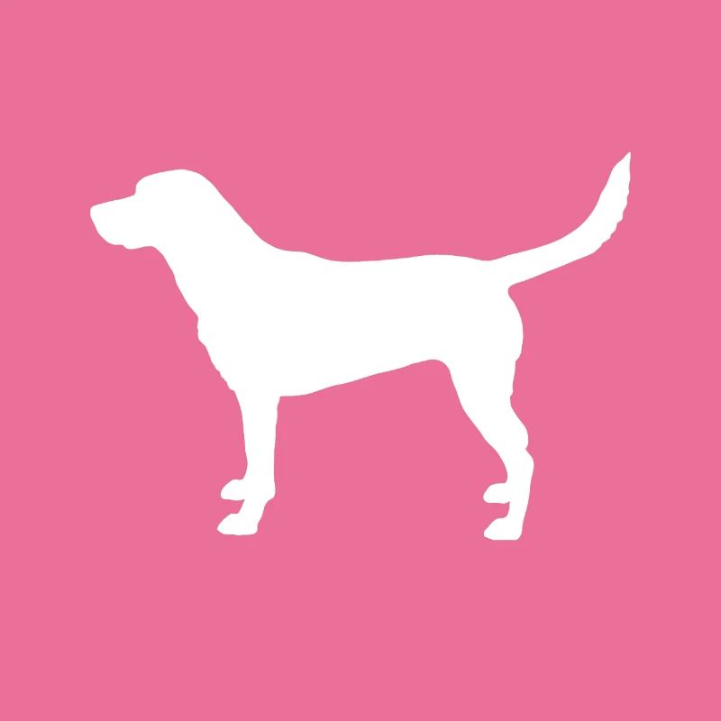 Labrador