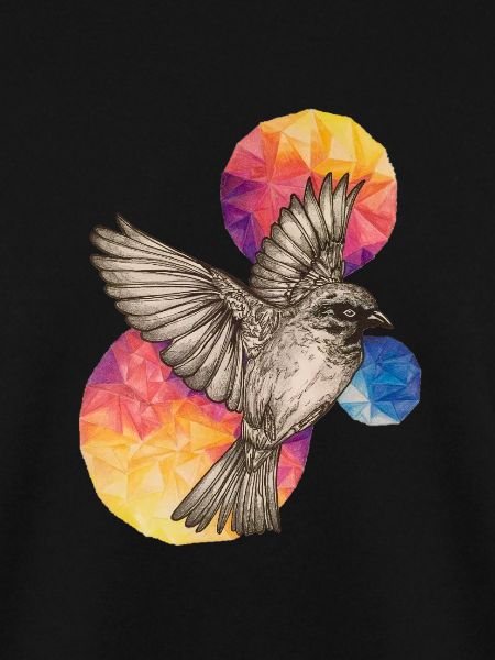 Free Bird