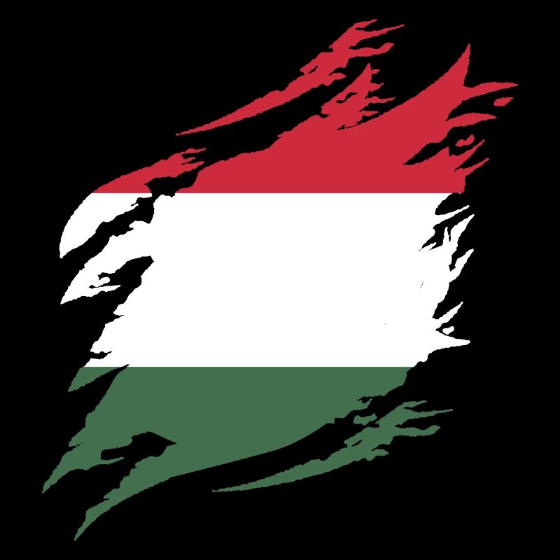 Hongrie Drapeau Hongrois Drapeau Balaton Hongrie