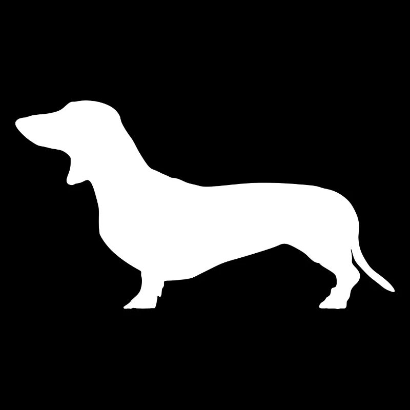 Dackel Jagdhund Teckel Dachshund Hunde